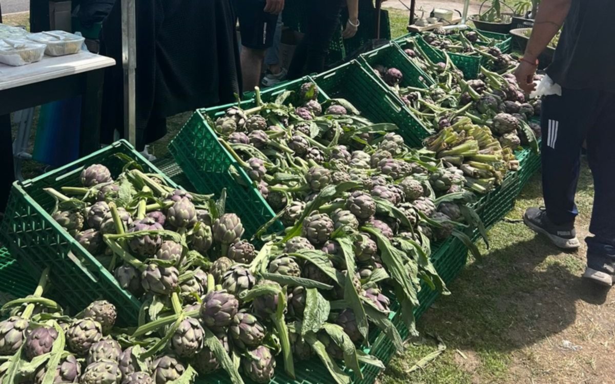 Los Hornos vivió a un sábado al ritmo de la fiesta del alcaucil