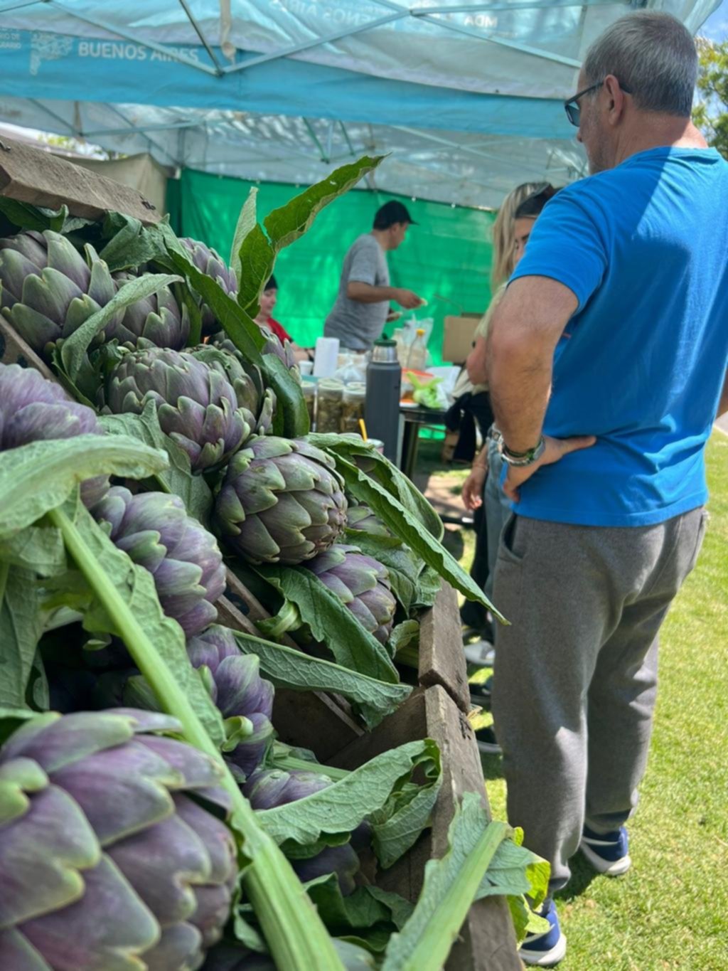 La “Fiesta del Alcaucil Hornense” hizo brillar la producción platense