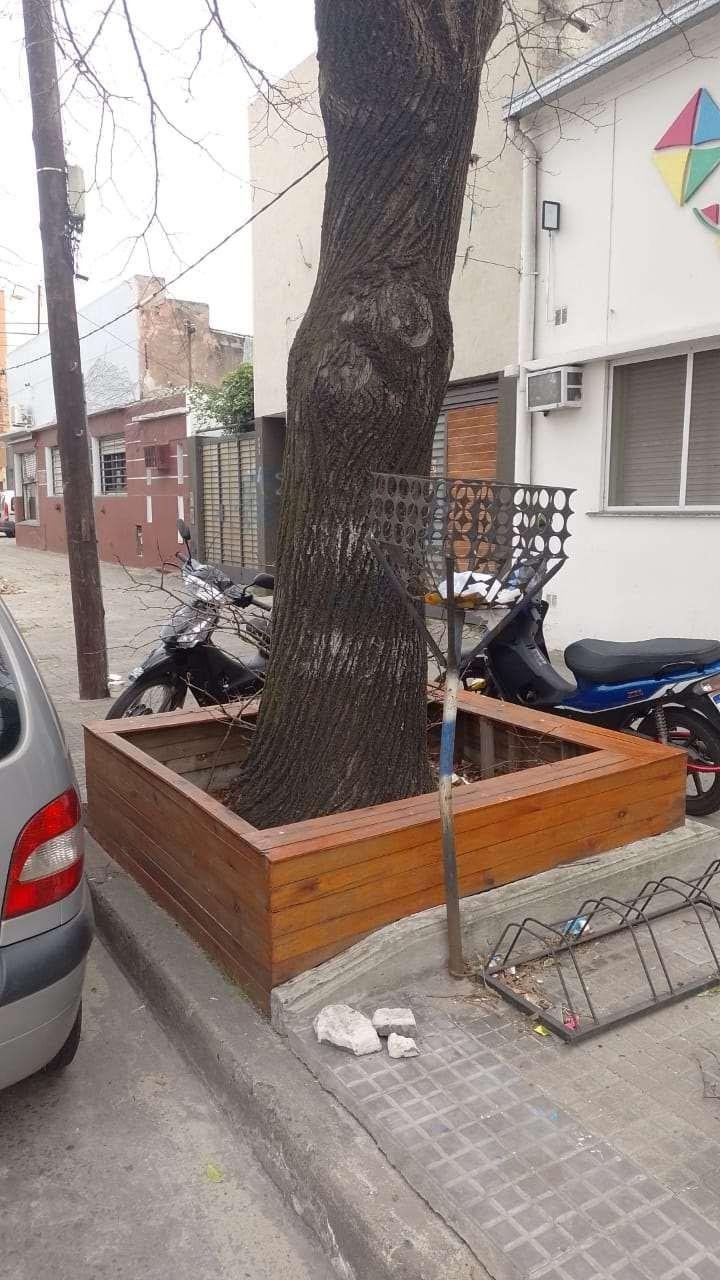 Piden la “liberación” de decenas de árboles en el casco urbano