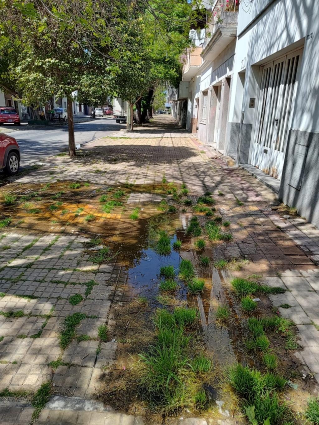 Vereda inundada por una pérdida de agua en 22 entre 59 y 60
