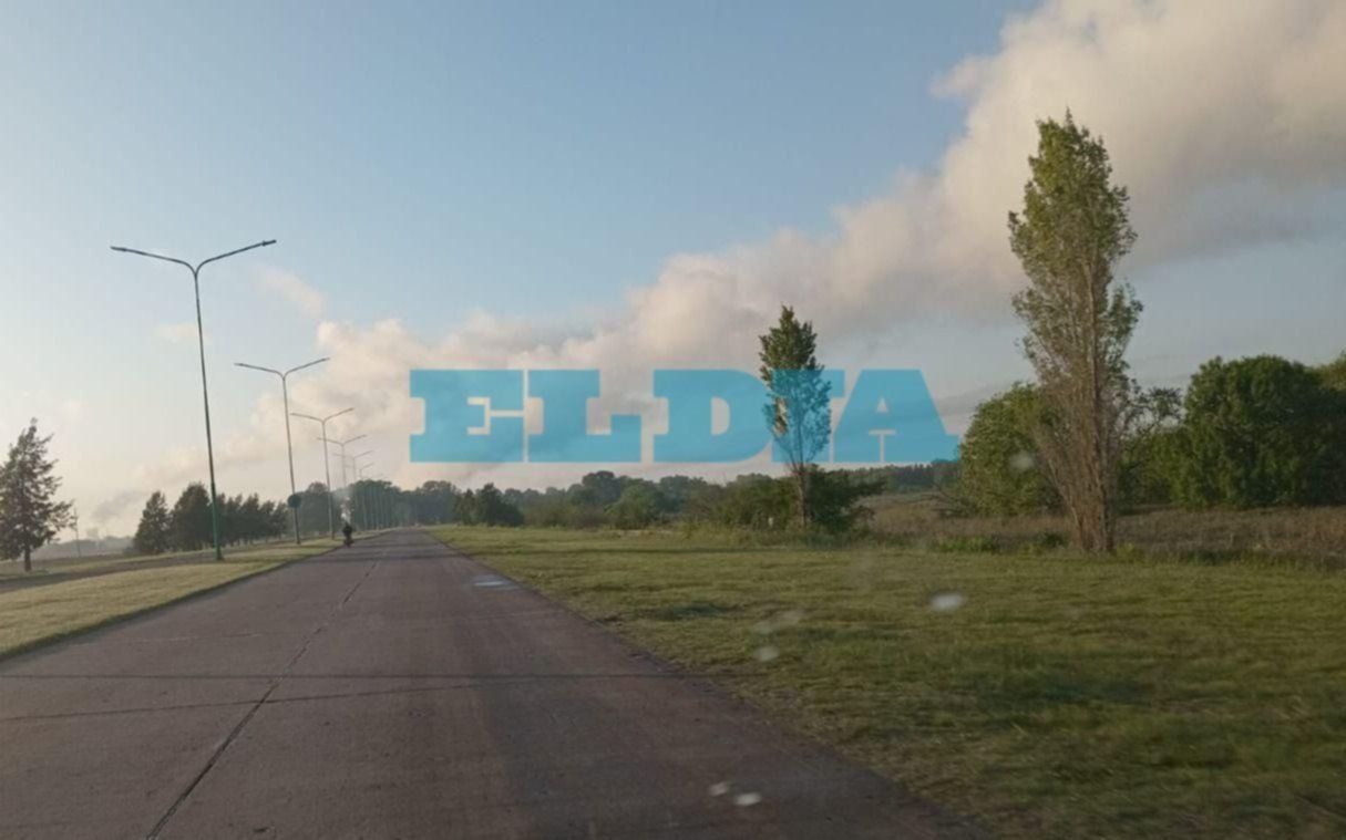 "¡Un humo terrible!": sorpresa por las emanaciones de la planta termoeléctrica de Ensenada