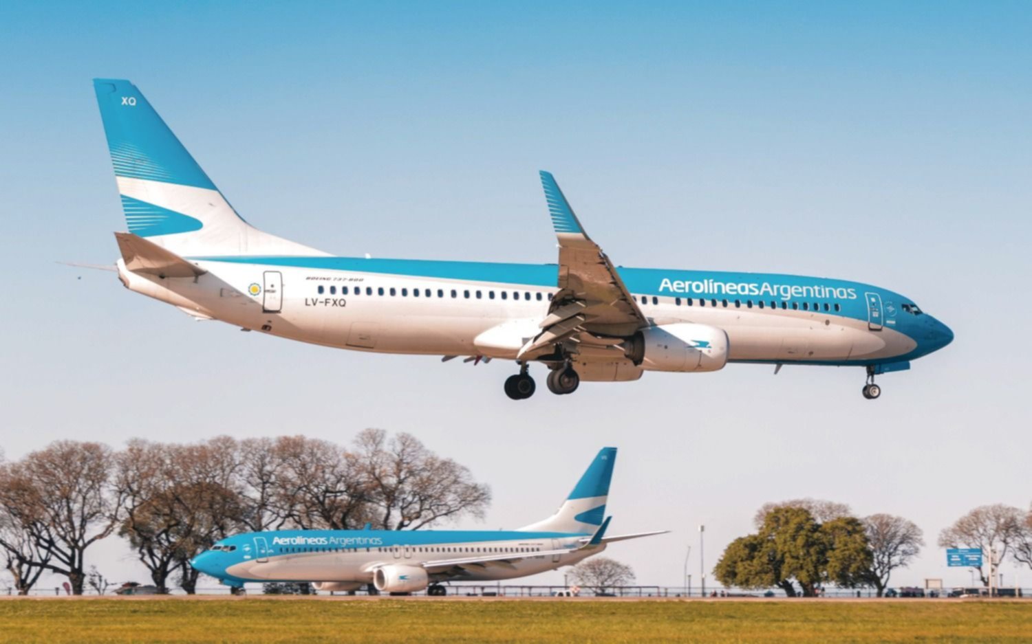 Milei y Aerolíneas Argentinas: "Si no se puede privatizar, se la vamos a ofrecer a los empleados"