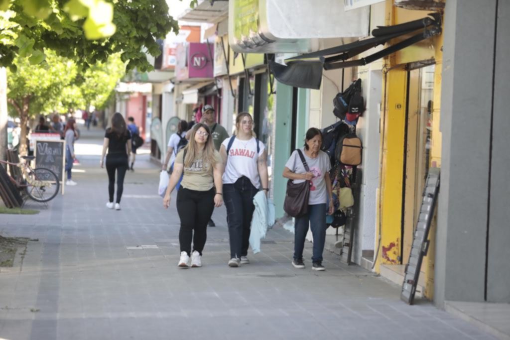 En pocos pasos, 300 negocios: crece el centro de Los Hornos por la 137