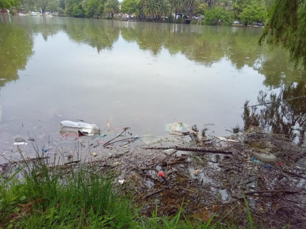 Residuos de todo tipo que ensucian el agua y la costa del lago del Bosque