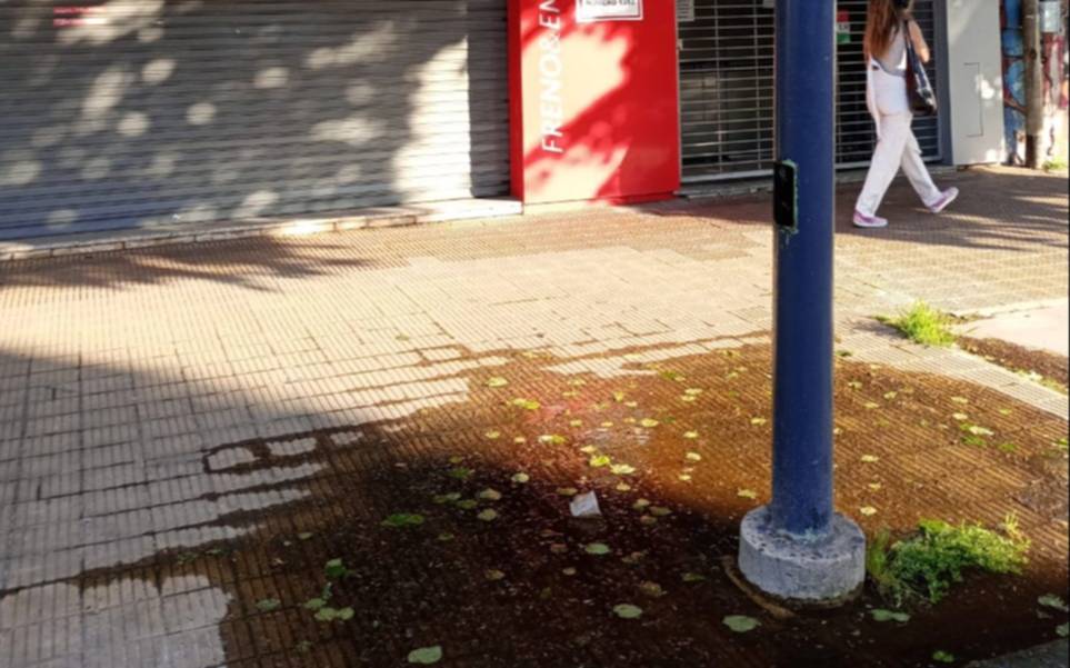 Pérdida de agua en 44 y 22: "No responden los reclamos"