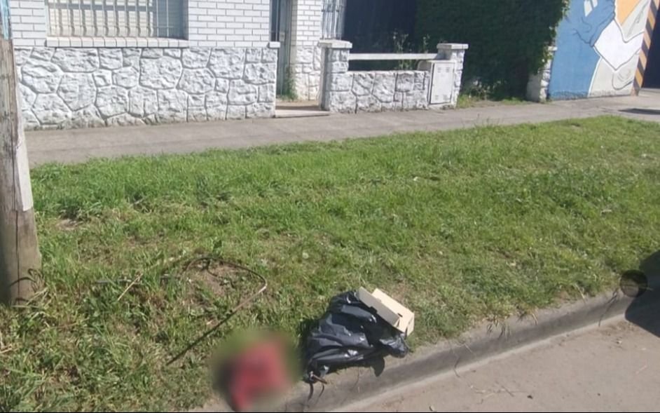 Conmoción en La Plata por el hallazgo de un feto humano en plena vía pública