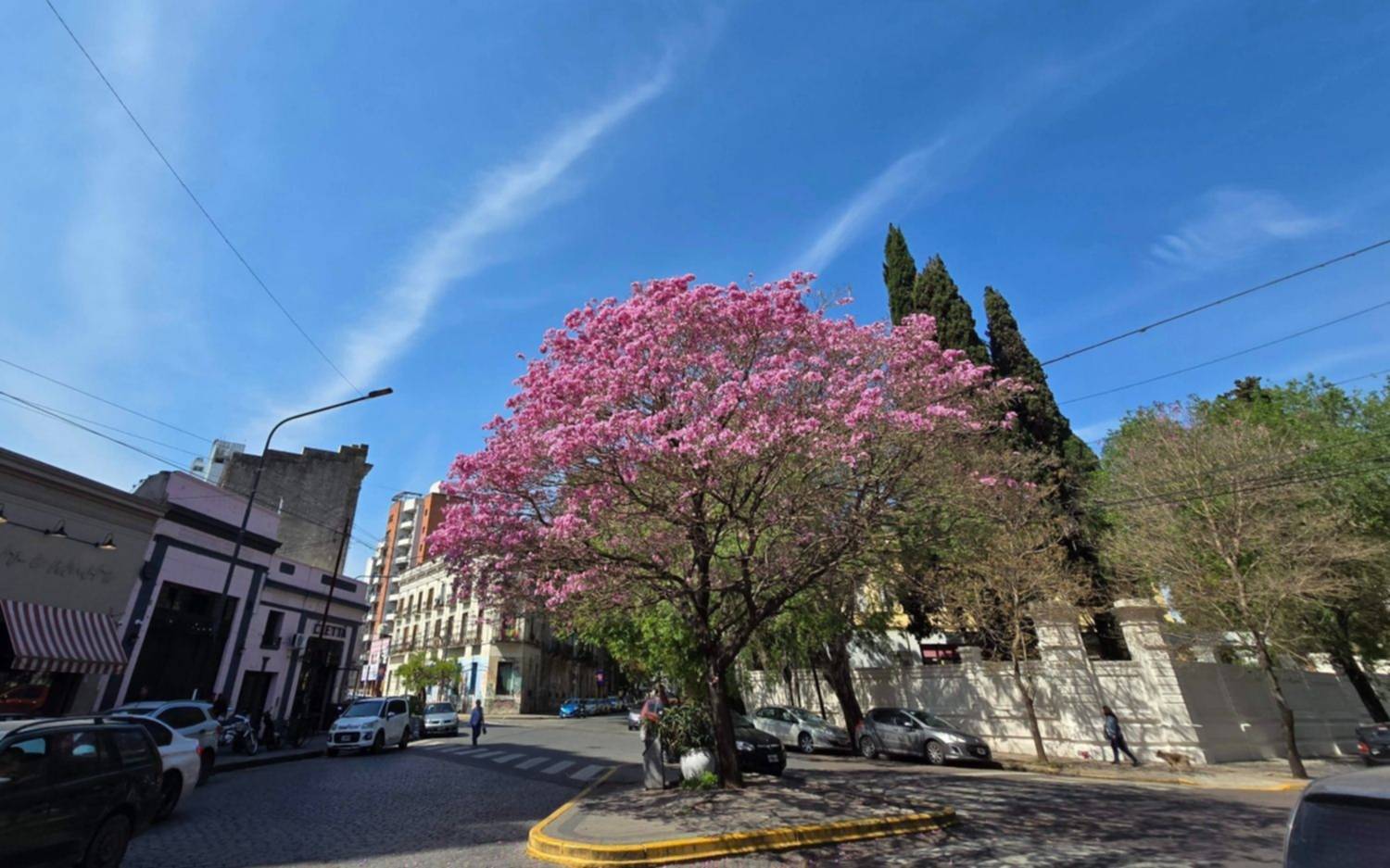 Así estará el clima en La Plata para el domingo del Día de la Madre