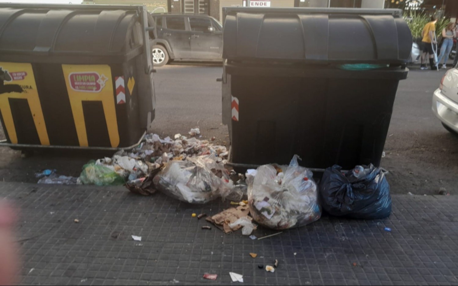 Un “foco de roedores” a metros de Gobernación en La Plata