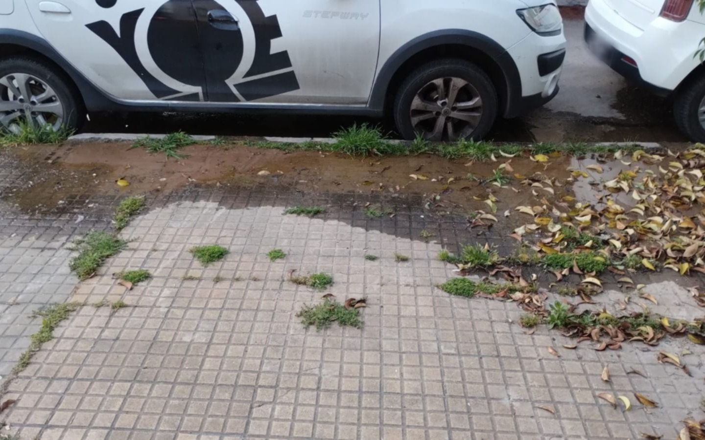 Pérdida de agua en Barrio Norte y “olores nauseabundos”