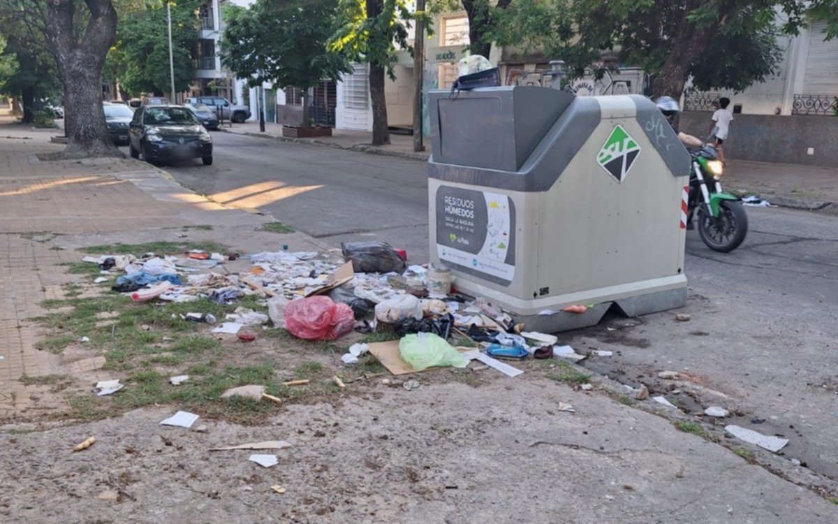 Contenedores de basura colmados a metros del Ministerio de Salud en La Plata