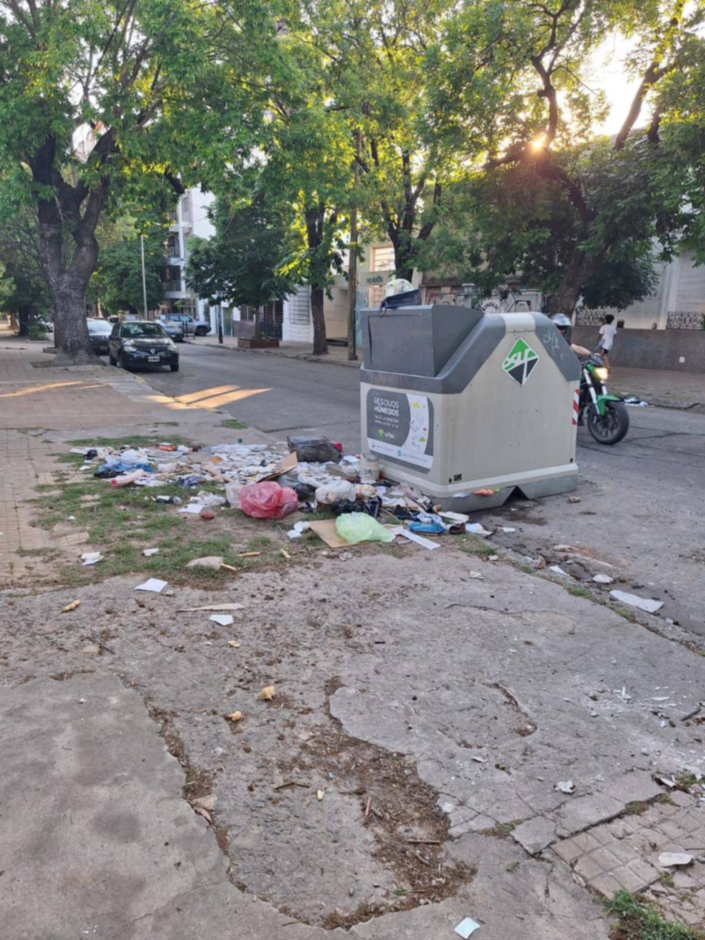 Desborde de basura al lado de un contenedor de 56 entre 17 y 18