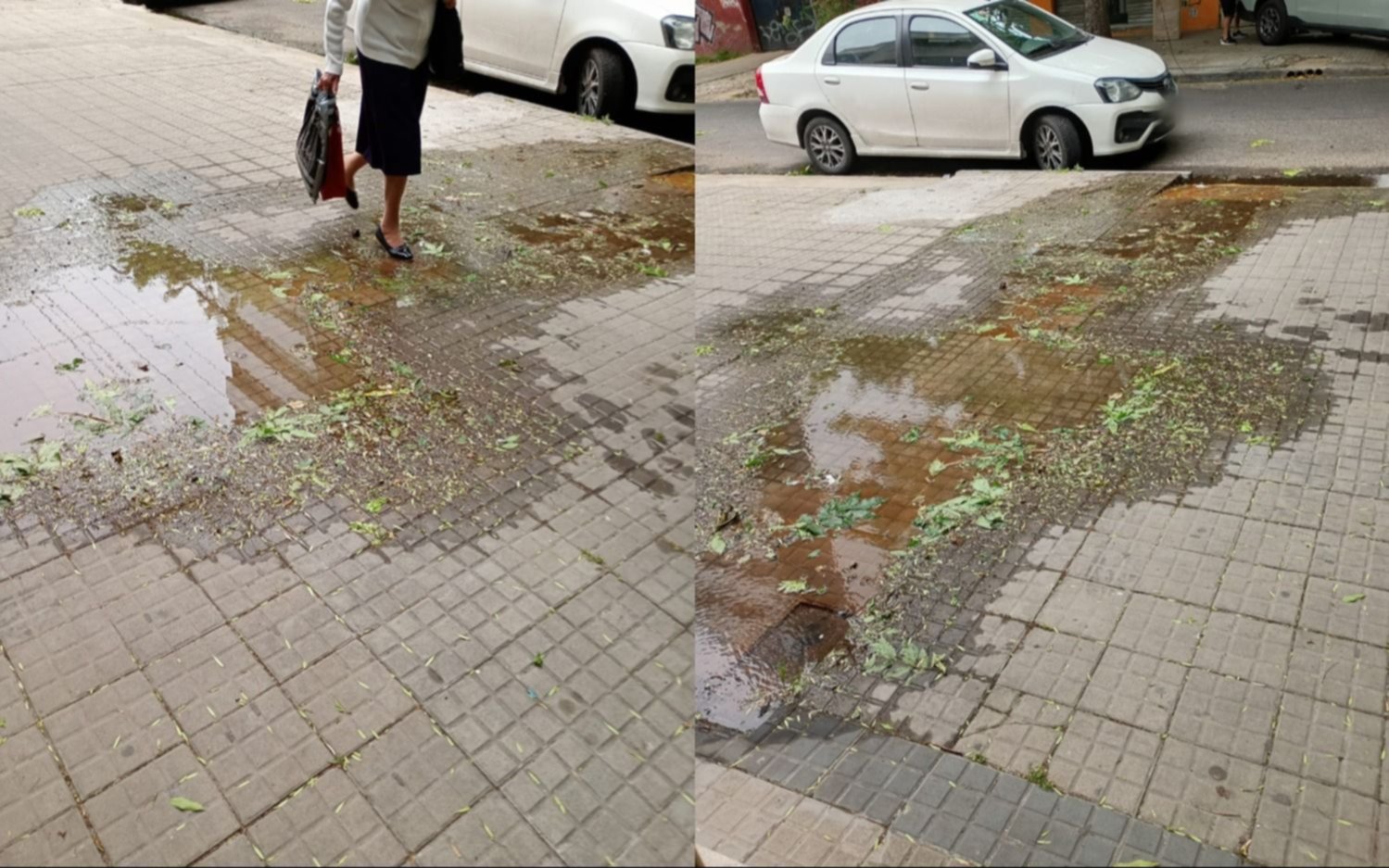 Dos caños rotos, una pérdida de agua y una vereda intransitable 