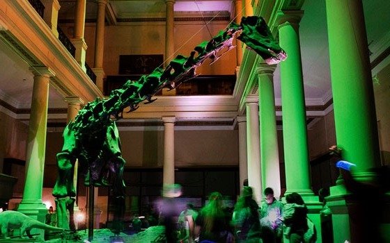 Se viene una nueva edición de Museos a la luz de la luna en La Plata: ¿Cuándo será?