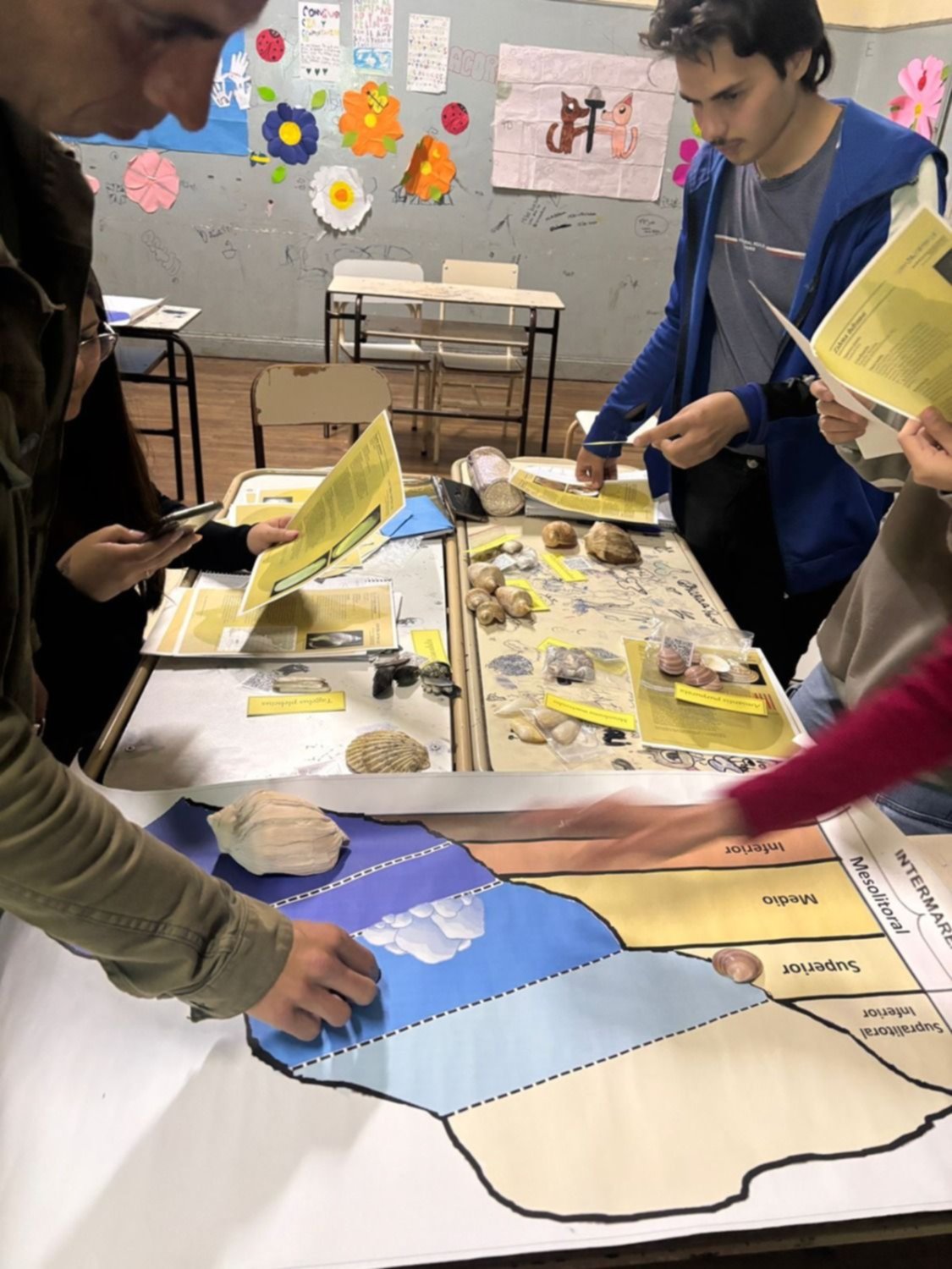 Ciencia, moluscos y Malvinas: el proyecto sobre biodiversidad destinado a escuelas de la Región
