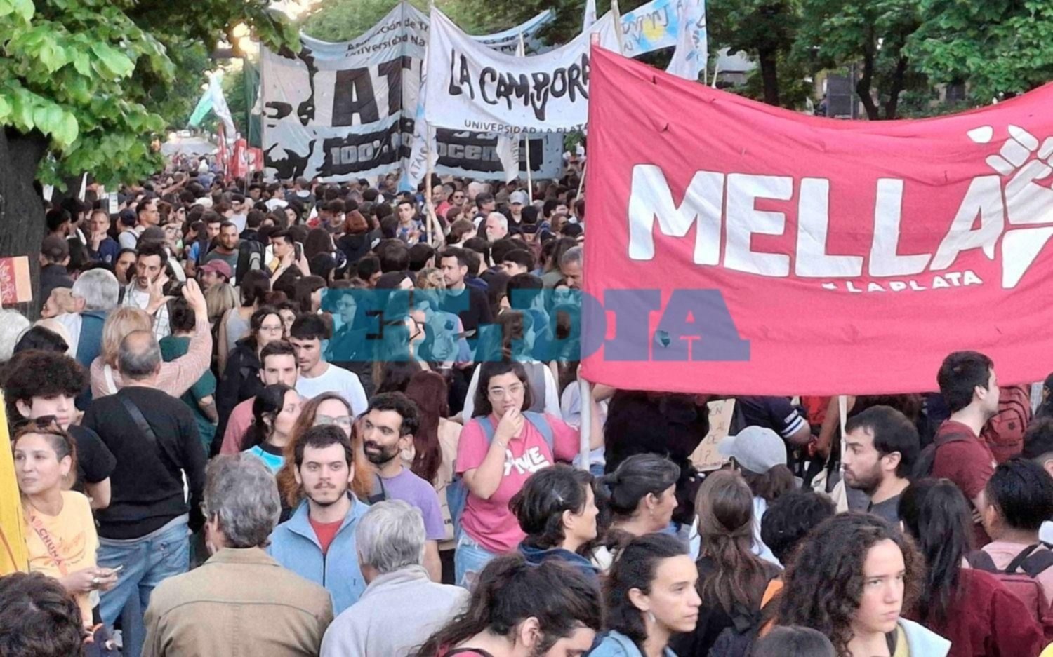 Tercera Marcha Universitaria Nacional confirmada y un paro para esta semana en La Plata