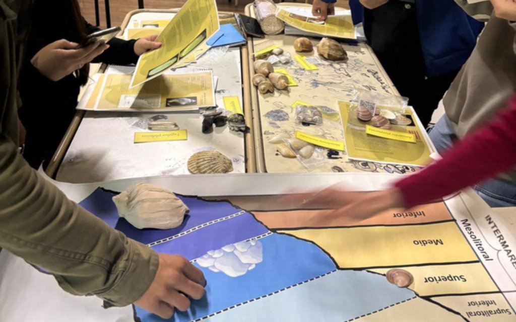 Plan de biodiversidad para escuelas de la Región