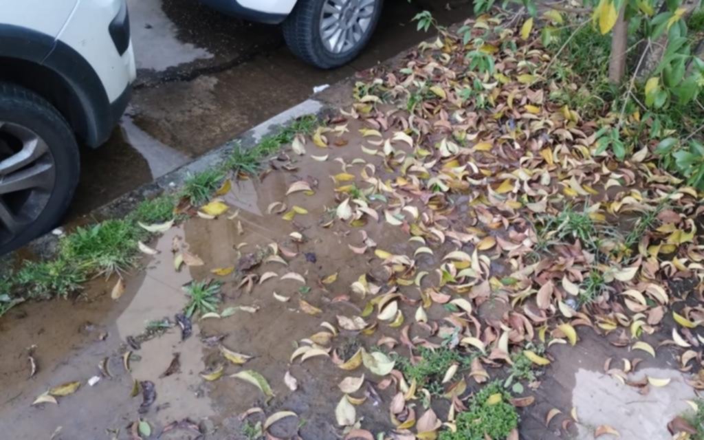 Pérdida de agua y olor nauseabundo en la esquina de 36 y 14, en barrio La Loma