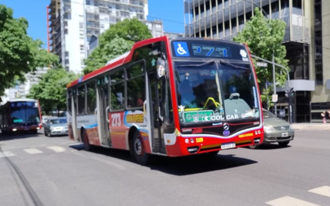 Transporte, recolección y estacionamiento: qué servicios se verán afectados por el paro de este miércoles en La Plata