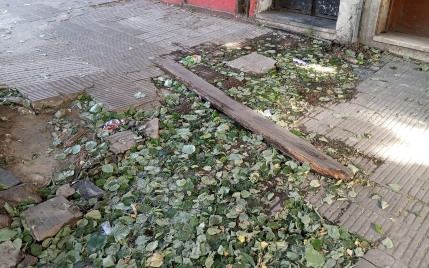 Pérdida de agua en 3 y 57