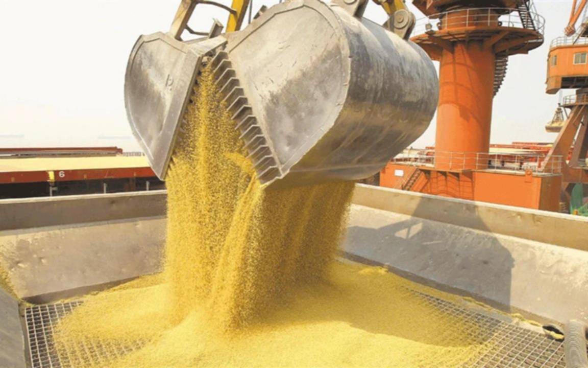 Cifra récord: en septiembre, el agro liquidó más de 7 mil millones de dólares