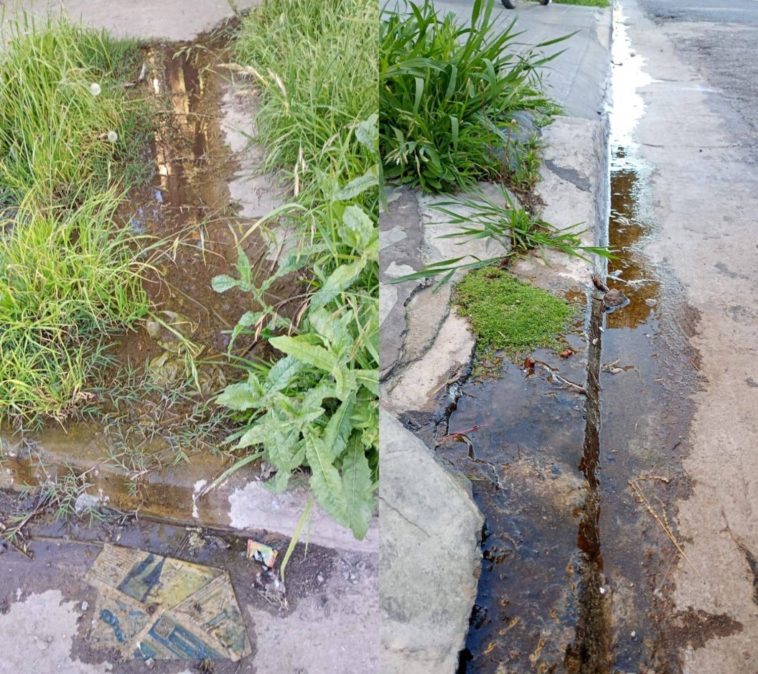 Una pérdida de agua en Villa Elvira preocupa a los vecinos: “Verdín, barro y mosquitos”