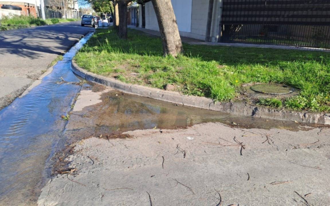 Una esquina de Tolosa con olores nauseabundos y calles manchadas por un desborde cloacal