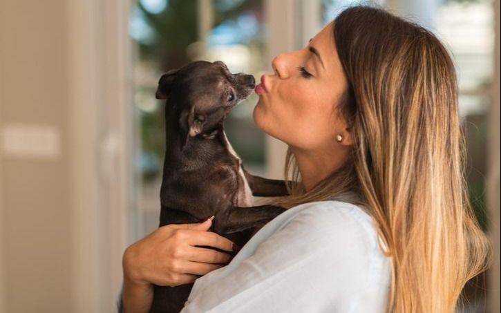 Por qué no hay que besar a los perros en la boca: preocupa el avance de la hidatidosis, una enfermedad que puede ser grave