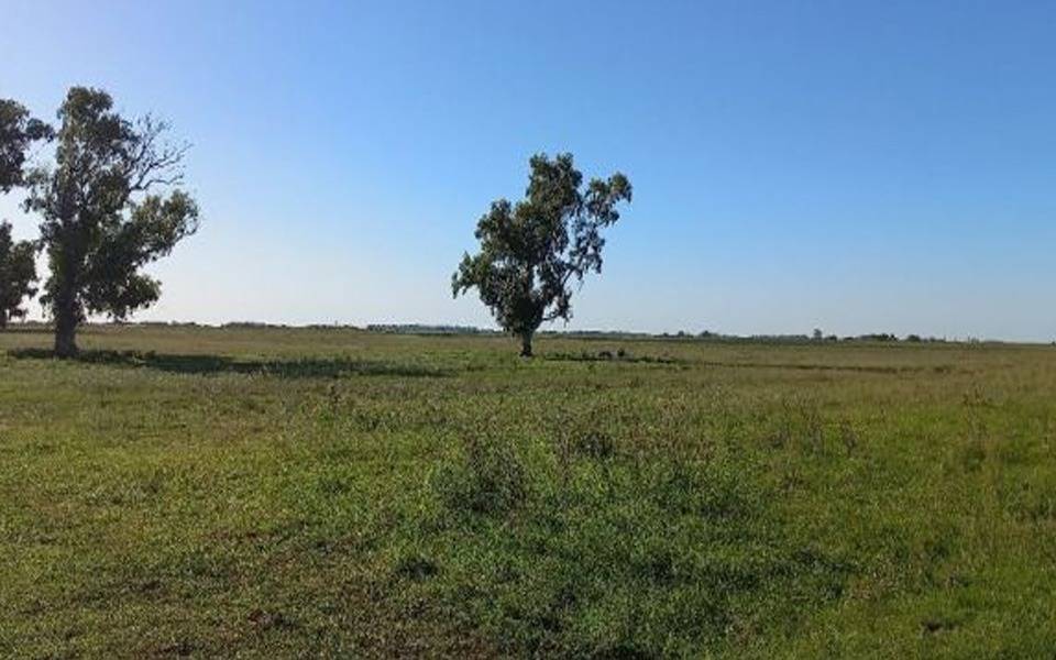 La UNLP acordó con la Provincia la cesión de un campo de 134 hectáreas