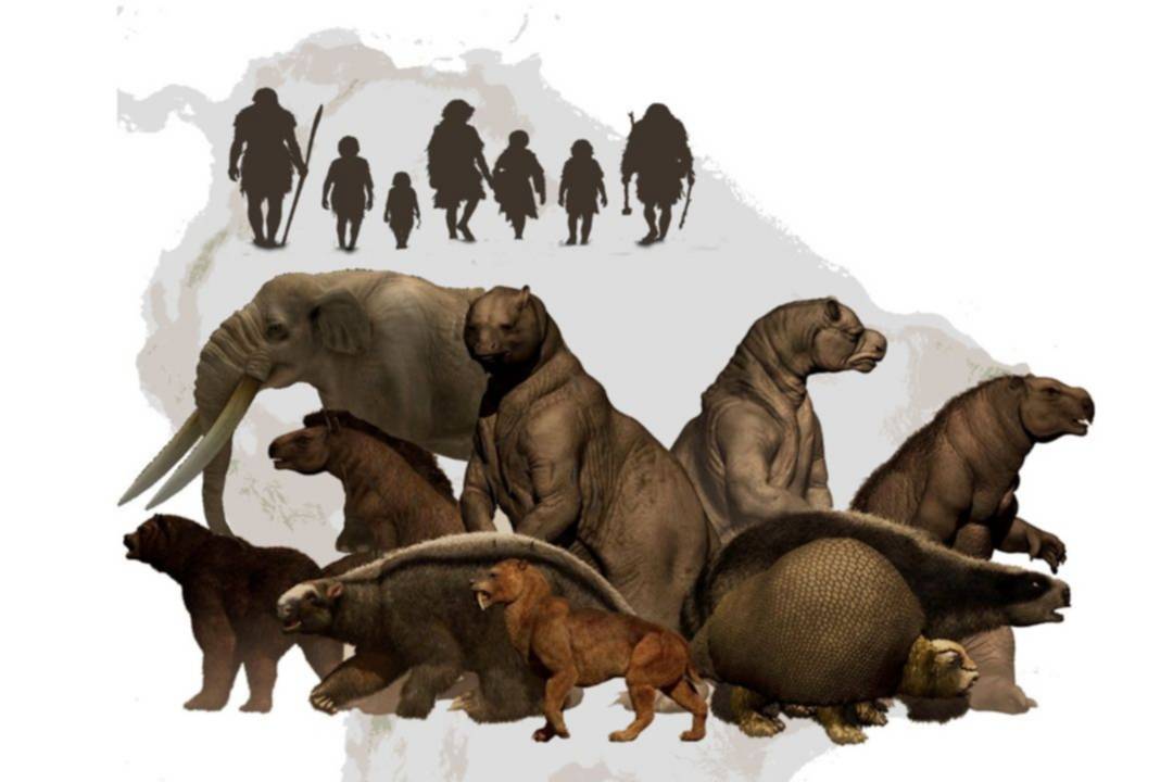 Perezosos gigantes, caballos y mastodontes: un estudio de la UNLP reabre el debate sobre la extinción de la megafauna