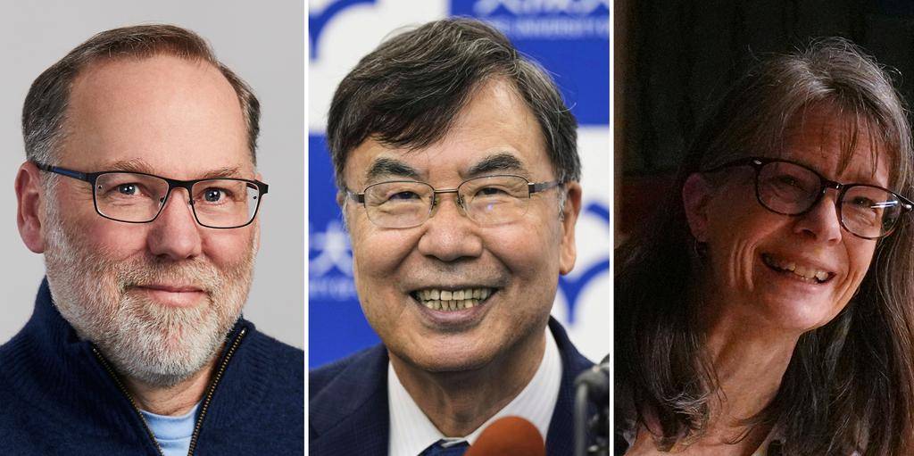 Nobel de Medicina: premian revolucionarios avances en inmunidad
