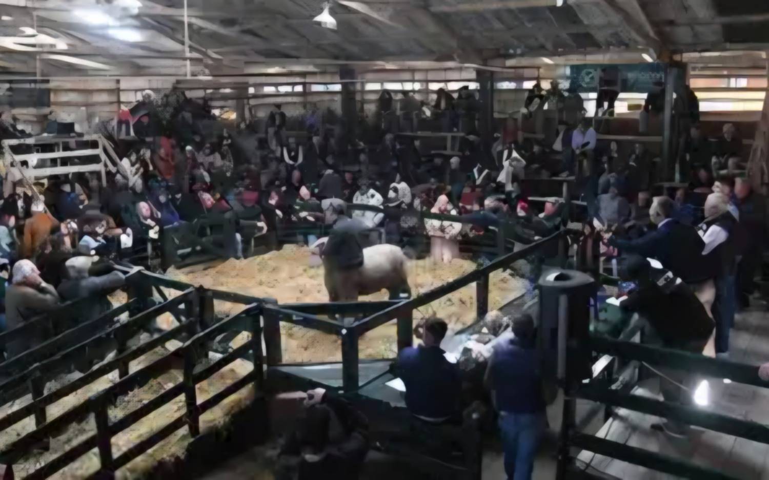 Más de un millón de dólares en ventas en la Exposición Rural de Bahía Blanca
