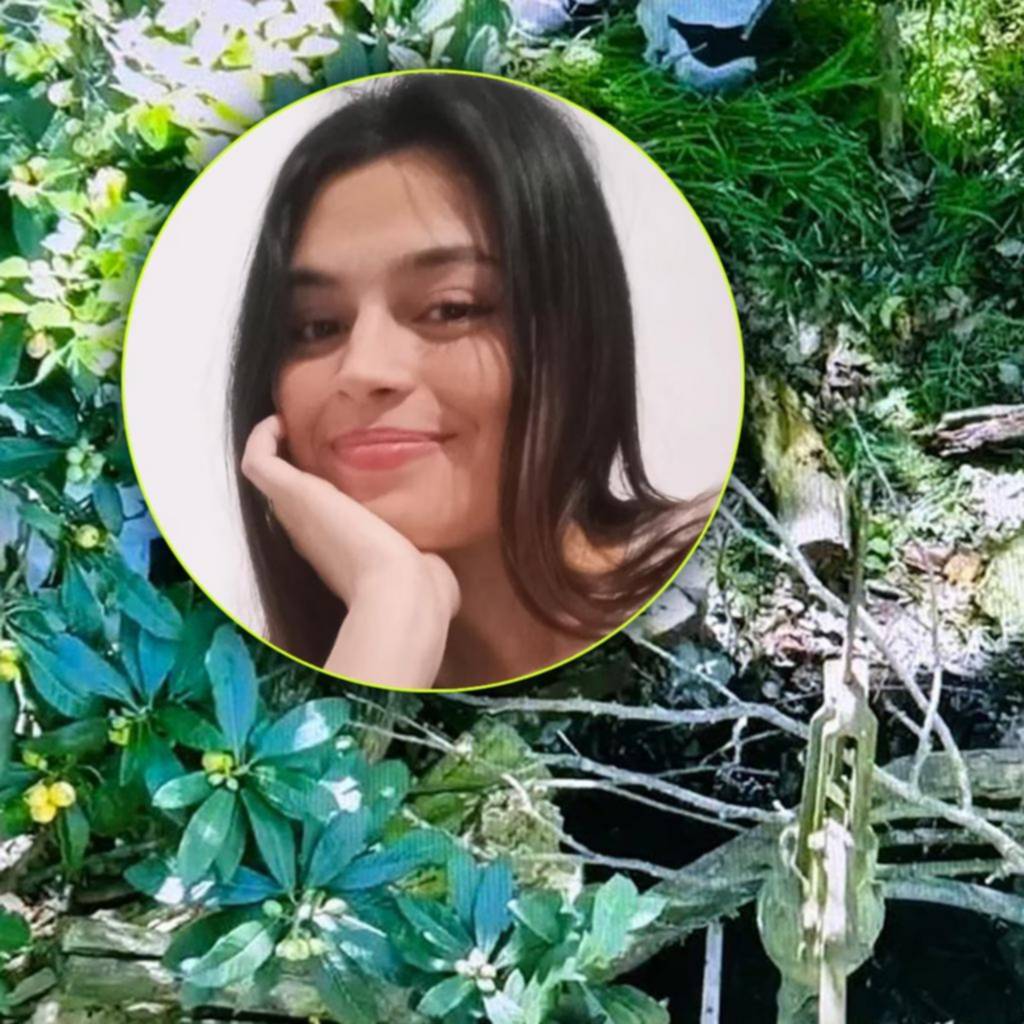 Dictaron la prisión preventiva para el presunto femicida de Daiana Mendieta