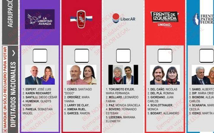 La Libertad Avanza apeló y ahora la Cámara Electoral debe resolver qué posición ocupará Santilli en la lista