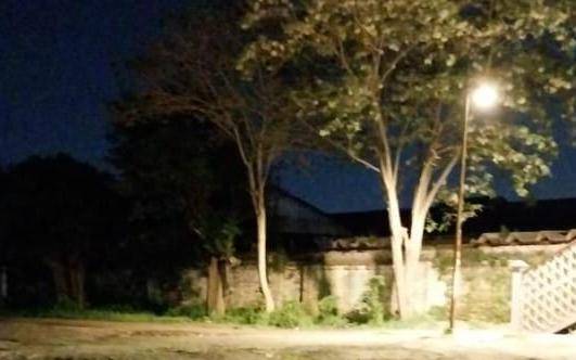 La Estación de Tolosa y una postal de una película de terror