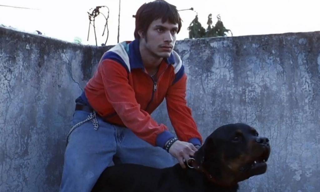 “Amores Perros”: los 25 años de un clásico latinoamericano