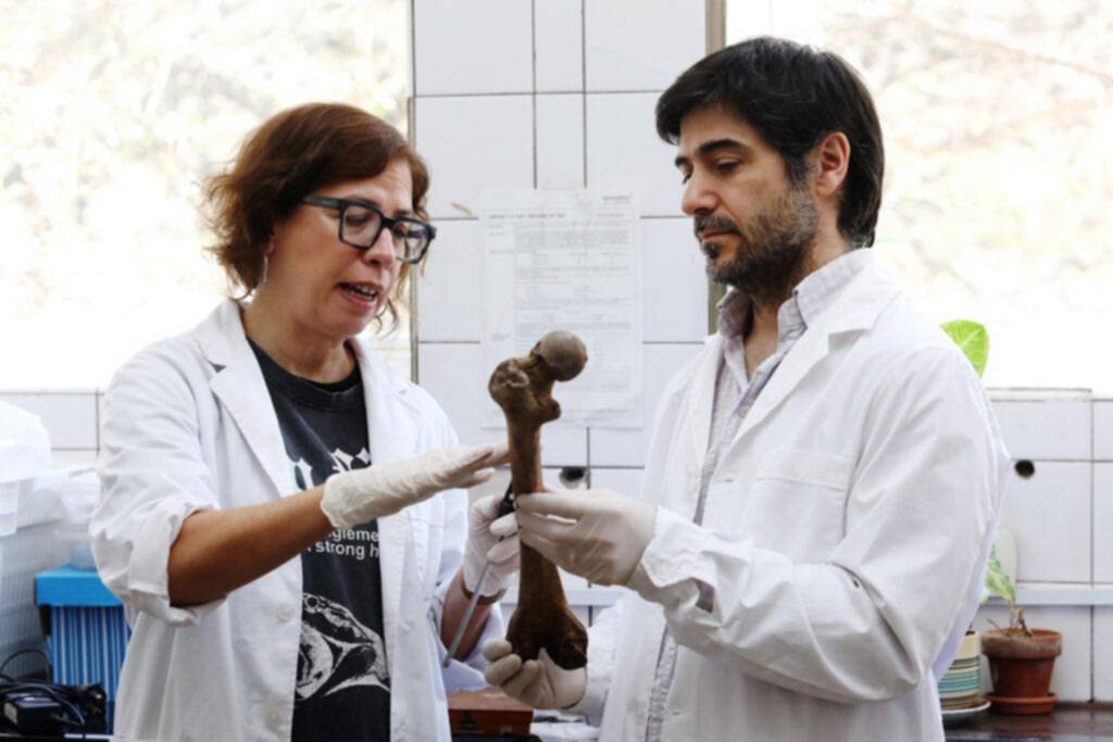 Esqueletos que hablan: lo que un osario platense revela sobre el desgaste de la columna