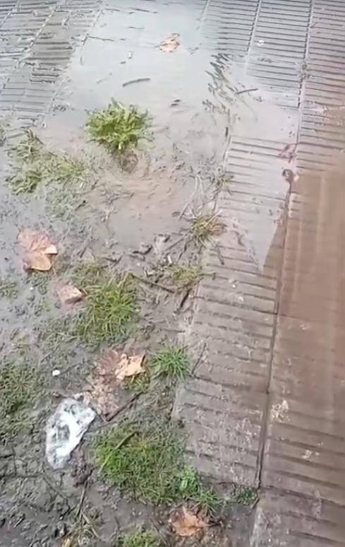 Pérdida de agua en la vereda en la zona de Plaza Máximo Paz
