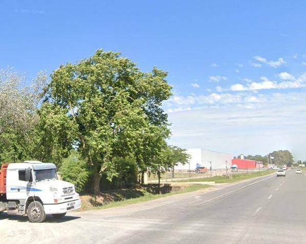 “Los dólares o no la contás”: otro jubilado blanco de un salvaje asalto