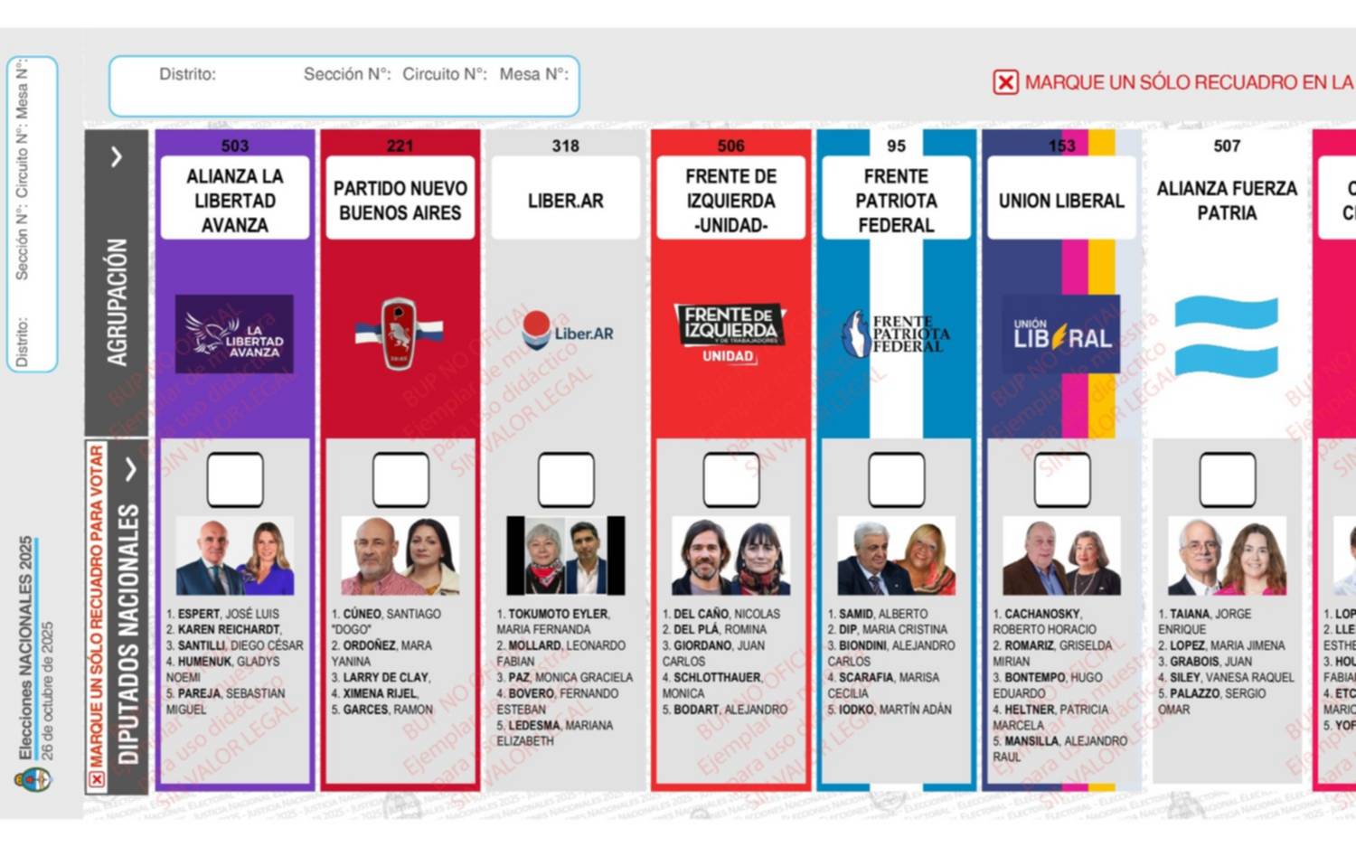 La Cámara Nacional Electoral define la reimpresión de boletas en Provincia: los argumentos de la Justicia en La Plata