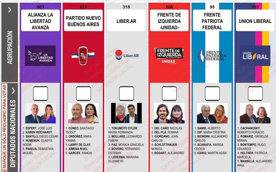 La Cámara Nacional Electoral rechazó la reimpresión de boletas en Provincia y se mantiene la foto de Espert