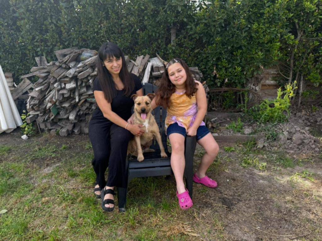 “Luján”, perro peregrino: siguió a una nena y lo adoptaron
