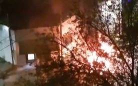Susto y tensión en La Plata: un auto se prendió fuego en plena calle y las llamas alarmaron a todo el barrio