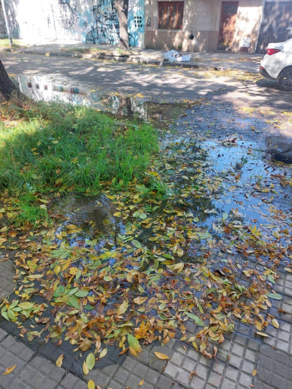 Tienen una pérdida en la vereda desde hace 7 meses