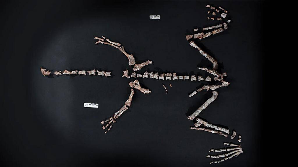 Descubren uno de los dinosaurios más antiguos