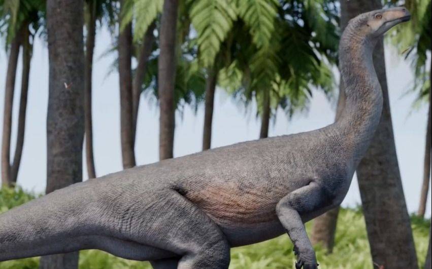 Una científica de la UNLP, en el hallazgo de uno de los dinosaurios más antiguos del mundo