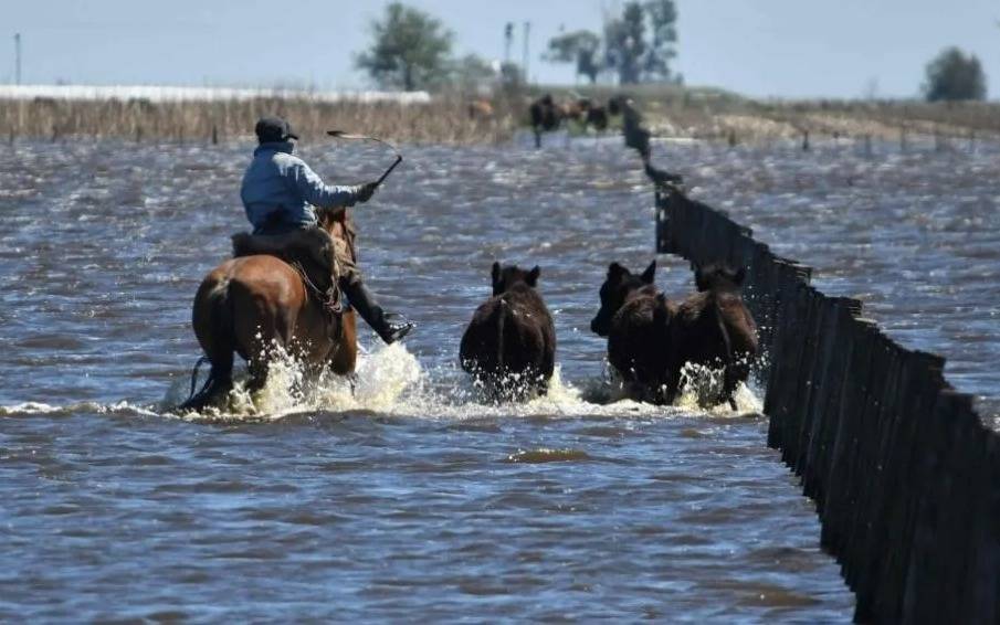 CARBAP reclama respuestas urgentes por las inundaciones en Buenos Aires