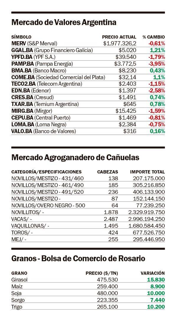 El dólar no detiene el “rally alcista”; suben los bonos y caen acciones