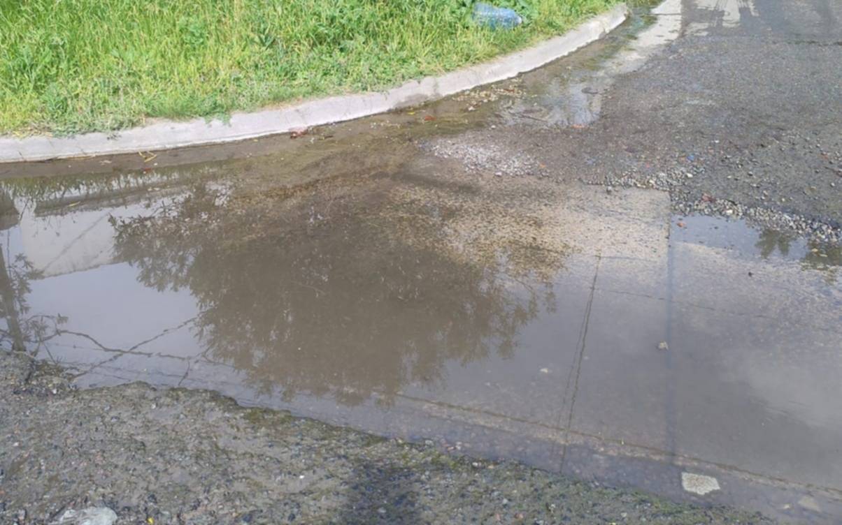 En una esquina de Tolosa “no se puede cruzar” por una pérdida de agua