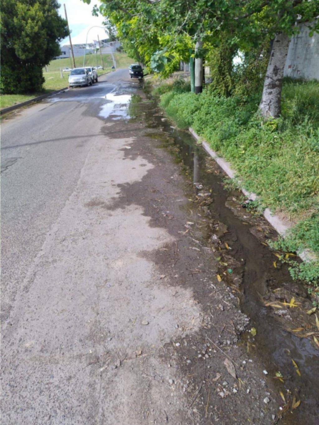 En 26 y 529 entre el agua y el pasto, hay que cruzar la calle a los saltos