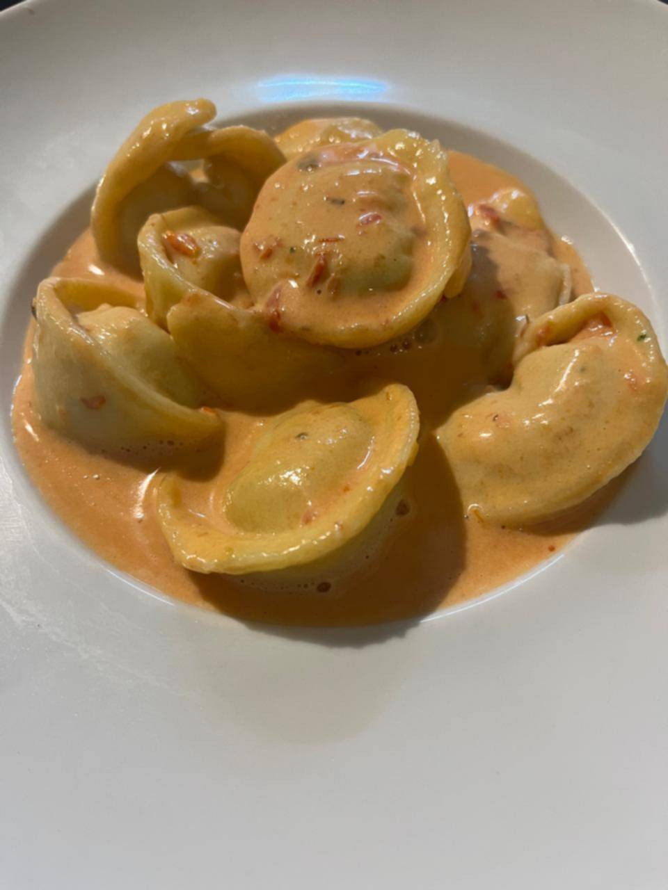 Día de la pasta: sabor, tradición y alma italiana en cada plato